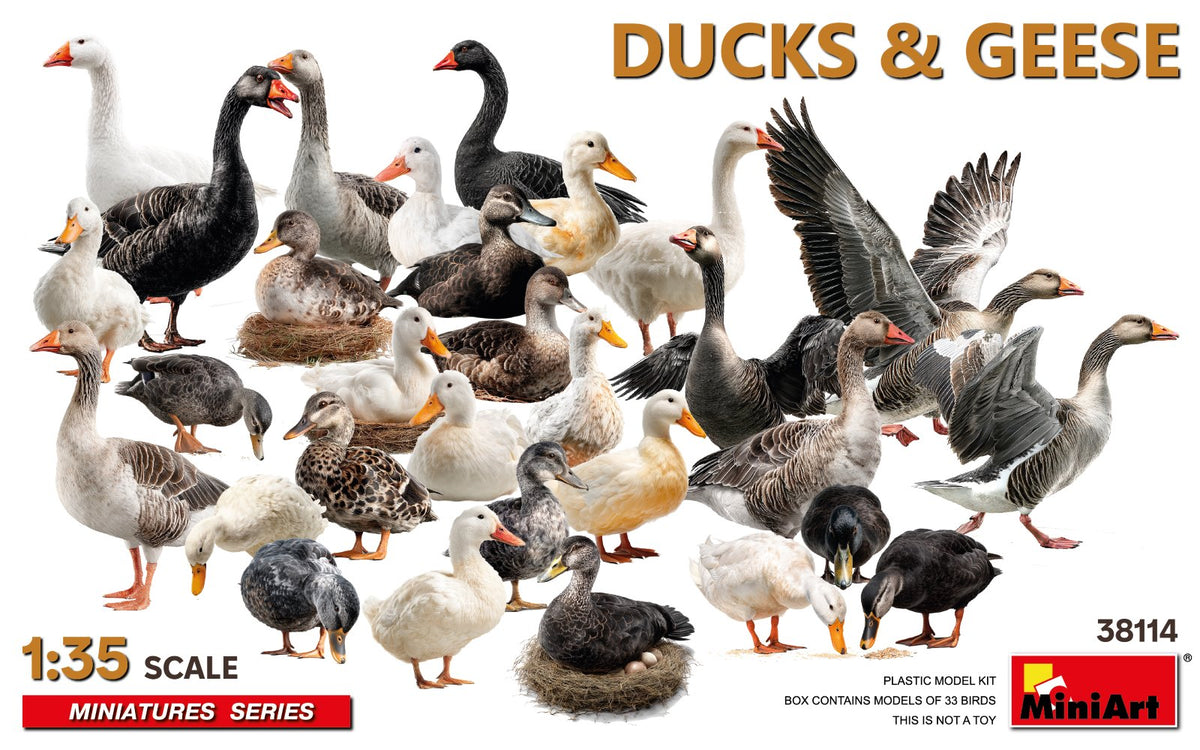 MiniArt 1/35 Ducks & Geese - 38114