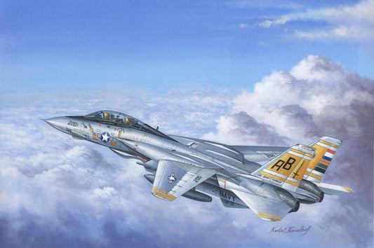 HobbyBoss 1/48 F-14A Tomcat