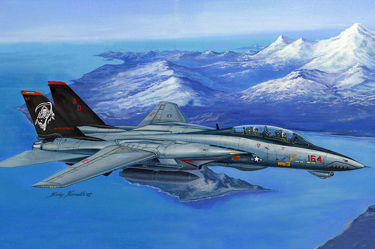 HobbyBoss 1/48 F-14D Super Tomcat